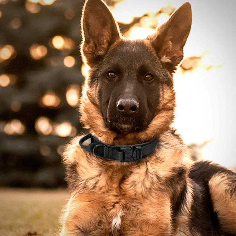 Dog Collar Durable Tactical Leash Set Adjustable Military Pet Collar Leash Medium Large Dog German Shepherd Training Accessories