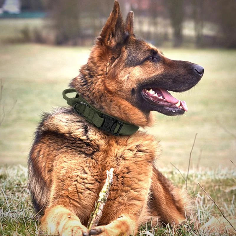 Dog Collar Durable Tactical Leash Set Adjustable Military Pet Collar Leash Medium Large Dog German Shepherd Training Accessories