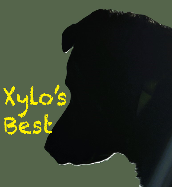 Xylo's Best