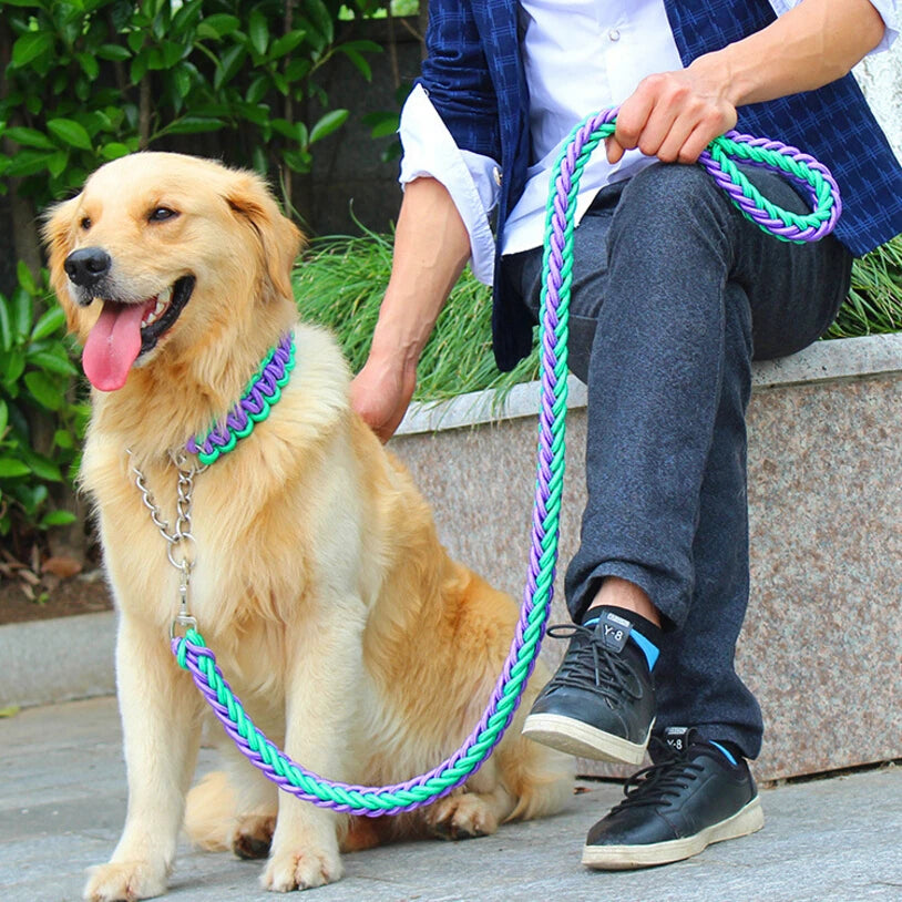 Double Strand Rope National Color Mix Large Dog Leashes Adjust Collar Metal Buckle Pet 1.2m Length Traction Rope Suit Big Dogs