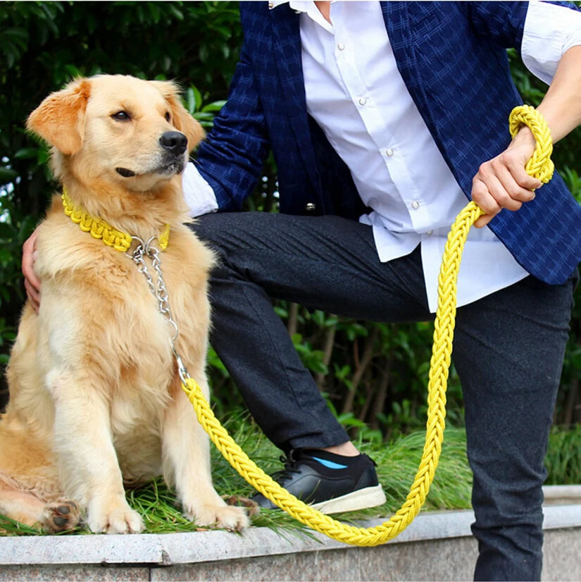 Double Strand Rope National Color Mix Large Dog Leashes Adjust Collar Metal Buckle Pet 1.2m Length Traction Rope Suit Big Dogs