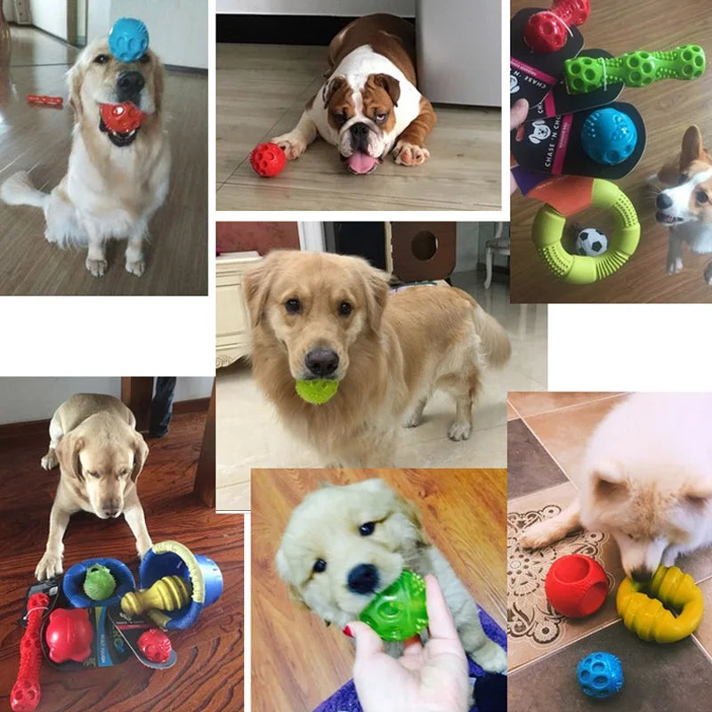 Caitec Dog Toys Squeaking Bouncing Ball Durable Floatable Springy Pet Toys Squeaky Ball Bite Resistant